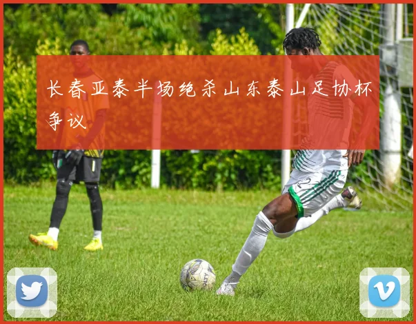 长春亚泰半场绝杀山东泰山足协杯争议