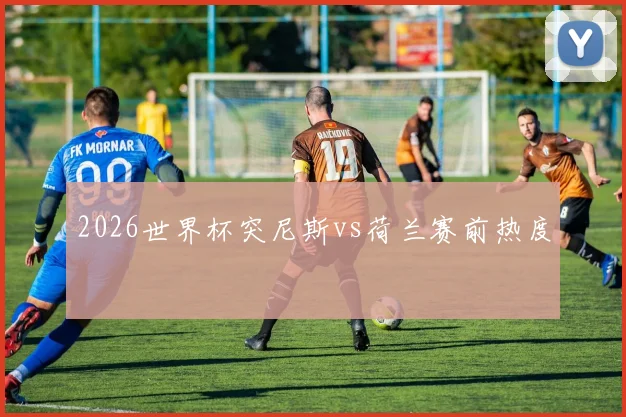 2026世界杯突尼斯vs荷兰赛前热度