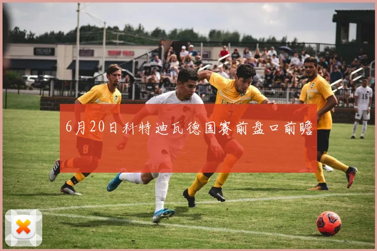 6月20日科特迪瓦德国赛前盘口前瞻