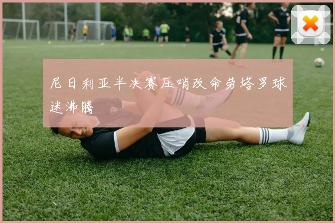 尼日利亚半决赛压哨改命劳塔罗球迷沸腾